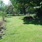 La Clairiere Au Bois