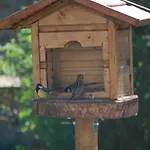La Clairiere Au Bois * Thurageau