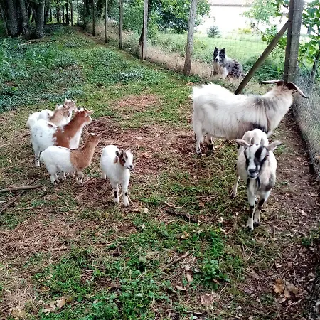 La Clairiere Au Bois Prázdninový dům *