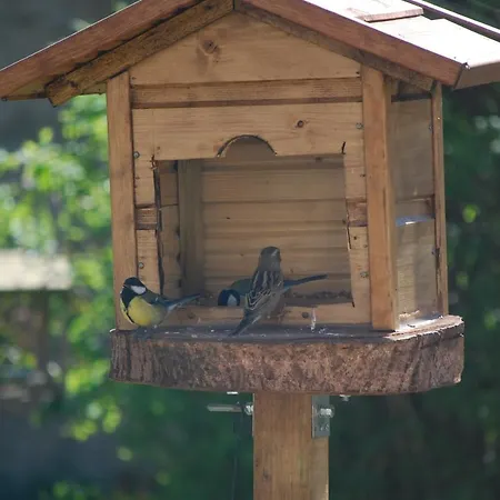 La Clairiere Au Bois * Thurageau