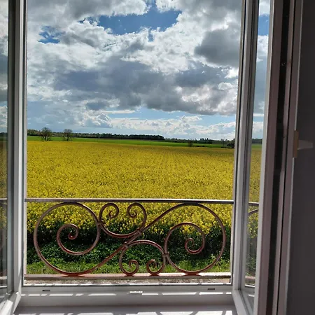 La Clairiere Au Bois *